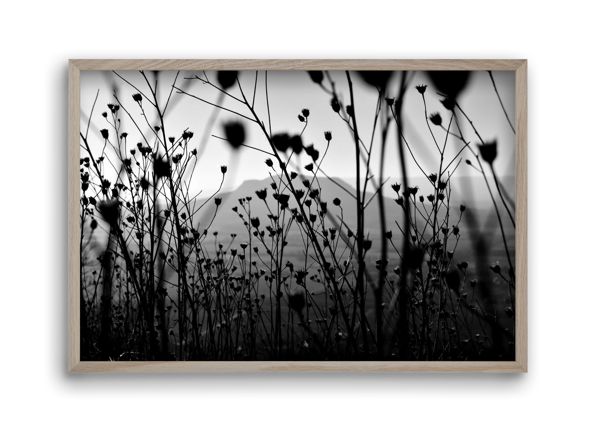 Csobanc, 45x30 cm (45x30 cm), Tölgy keret