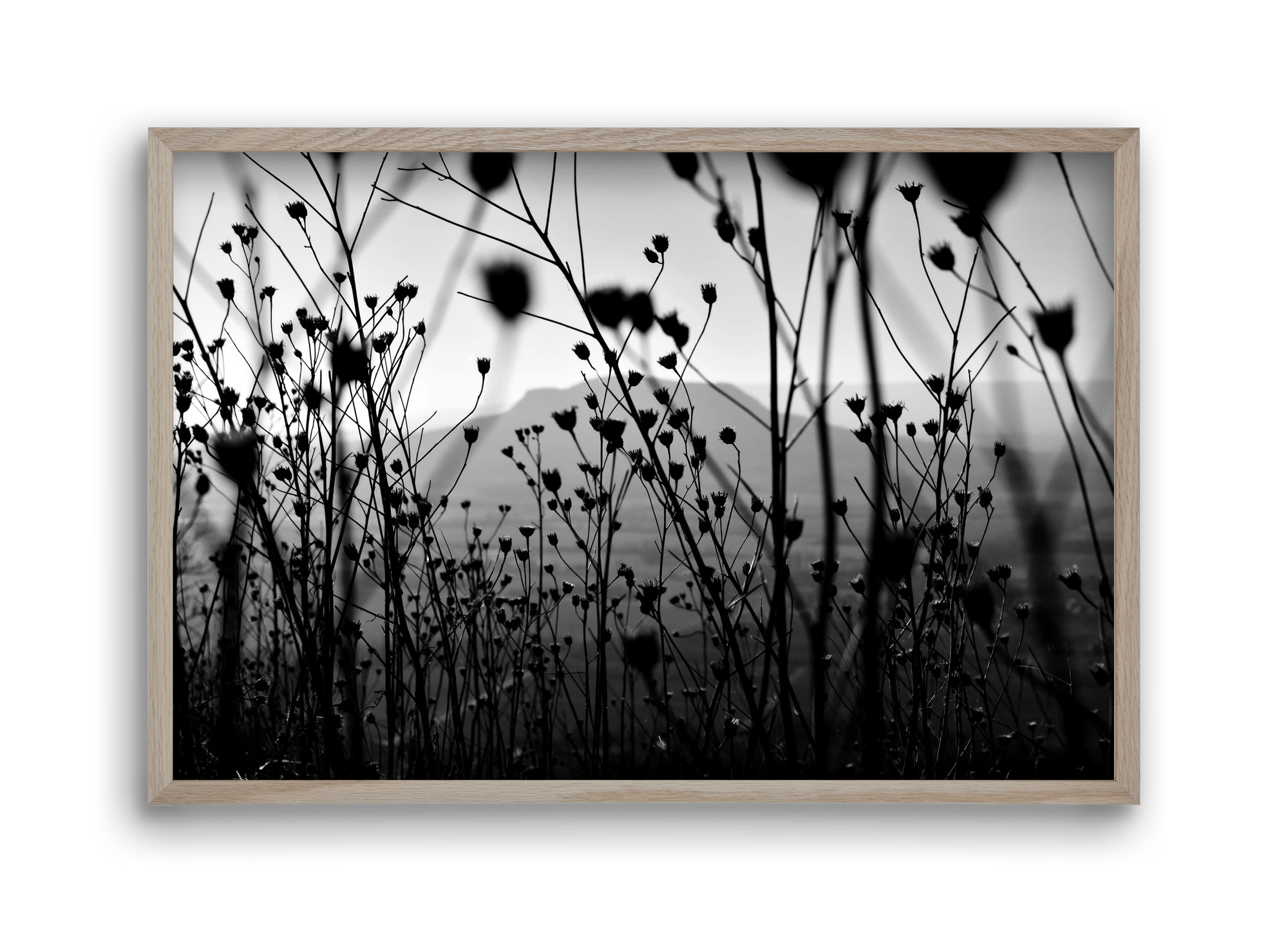 Csobanc, 45x30 cm (45x30 cm), Tölgy keret