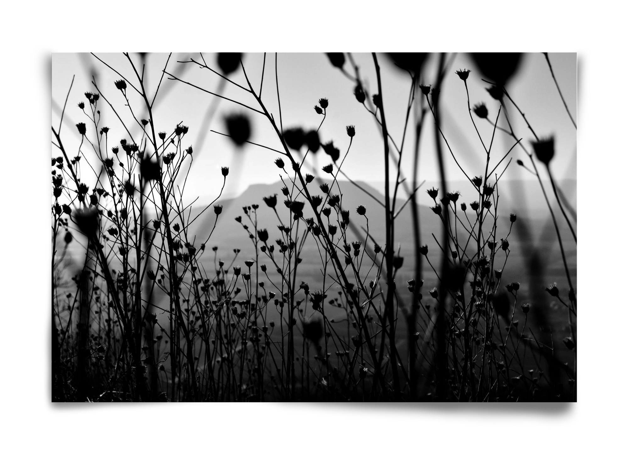 Csobanc, 60x40 cm, Keret nélkül