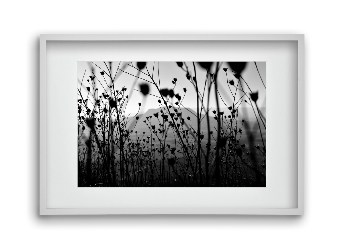 Csobanc, 45x30 cm (30x20 cm), Fehér keret, paszpartuval