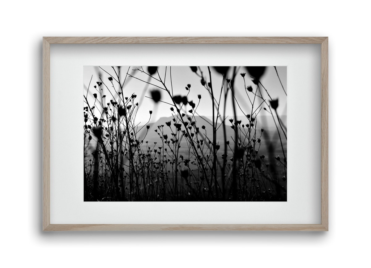 Csobanc, 45x30 cm (30x20 cm), Tölgy keret, paszpartuval