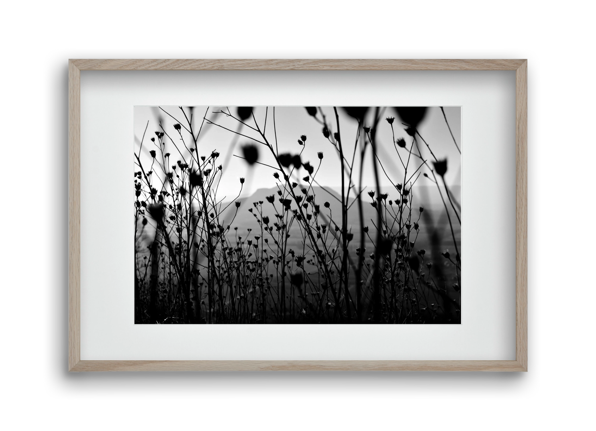 Csobanc, 45x30 cm (30x20 cm), Tölgy keret, paszpartuval