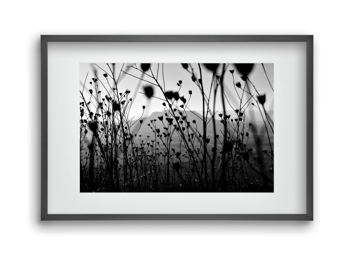 Csobanc, 45x30 cm (30x20 cm), Fekete keret, paszpartuval