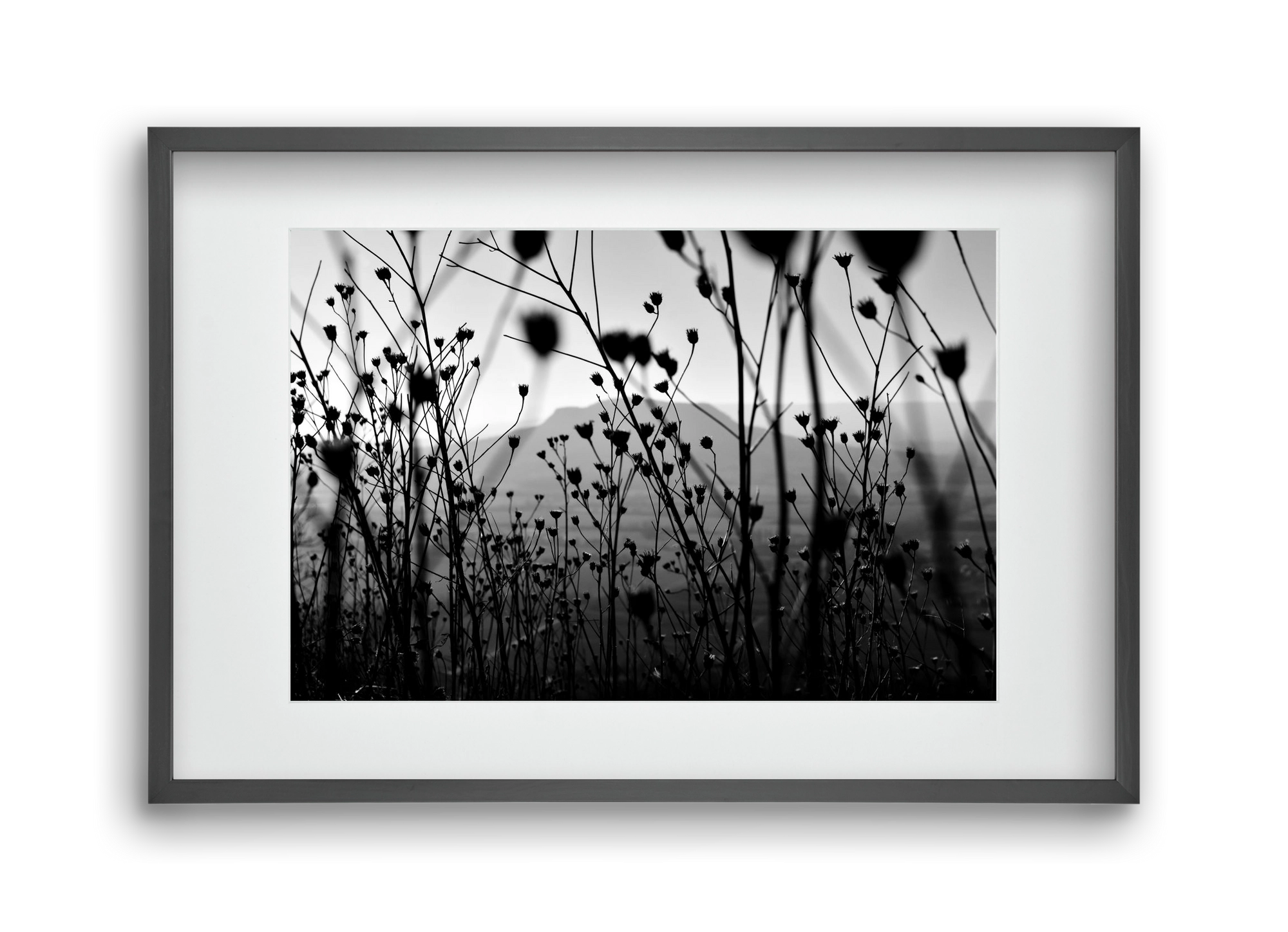 Csobanc, 45x30 cm (30x20 cm), Fekete keret, paszpartuval