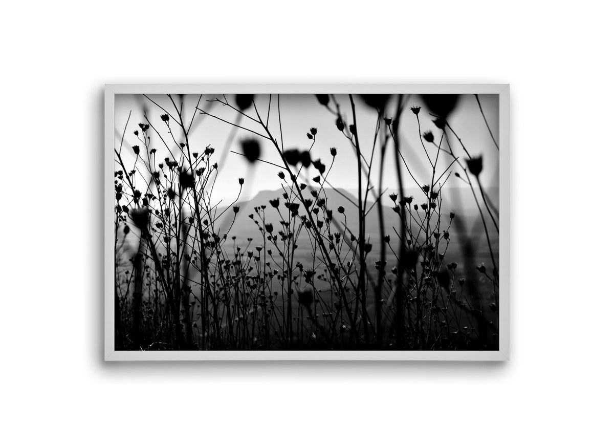 Csobanc, 30x20 cm (30x20 cm), Fehér keret