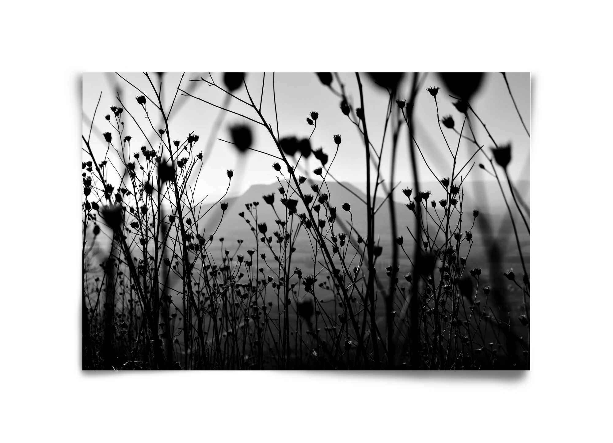 Csobanc, 45x30 cm, Keret nélkül