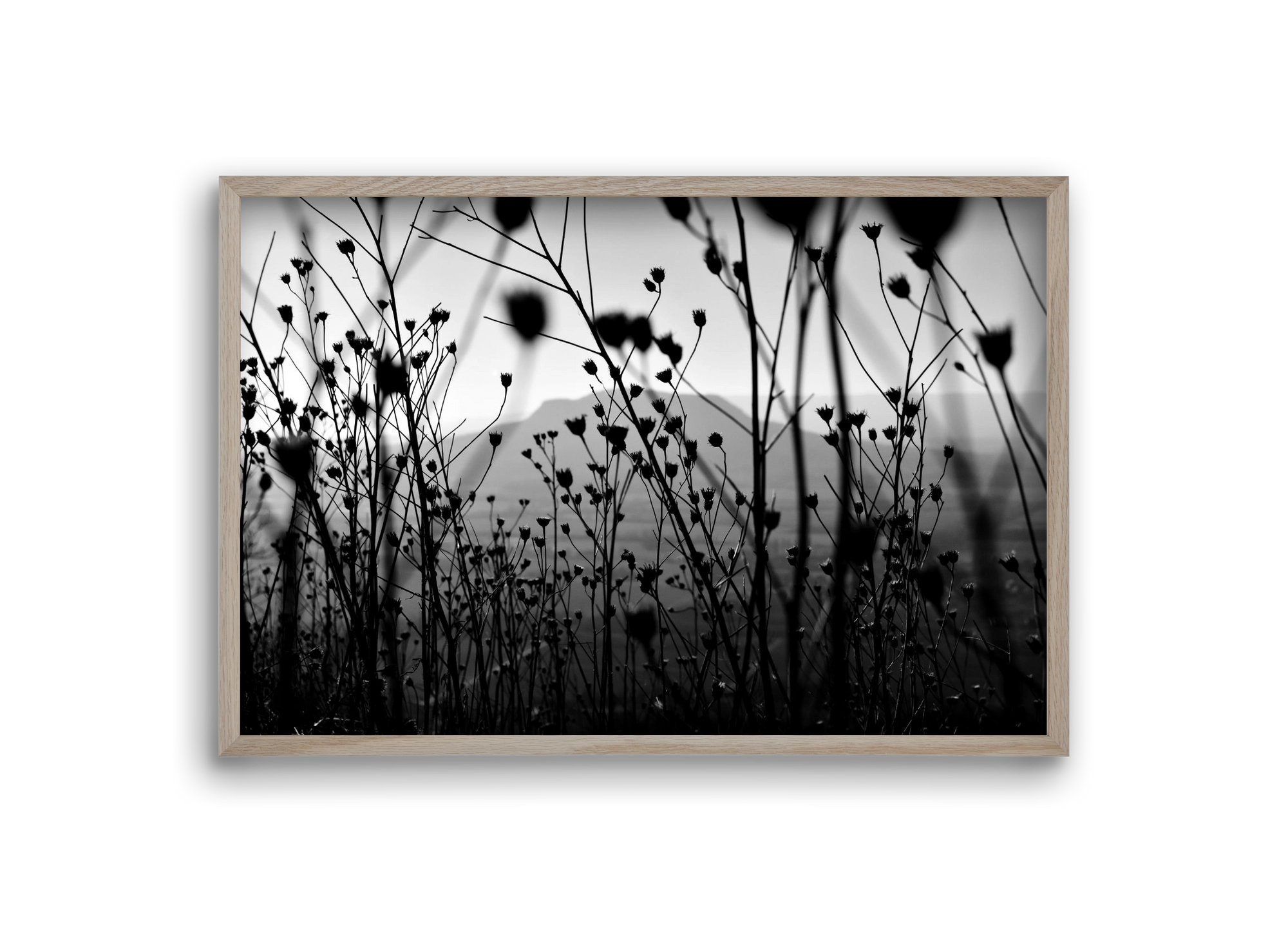 Csobanc, 30x20 cm (30x20 cm), Tölgy keret