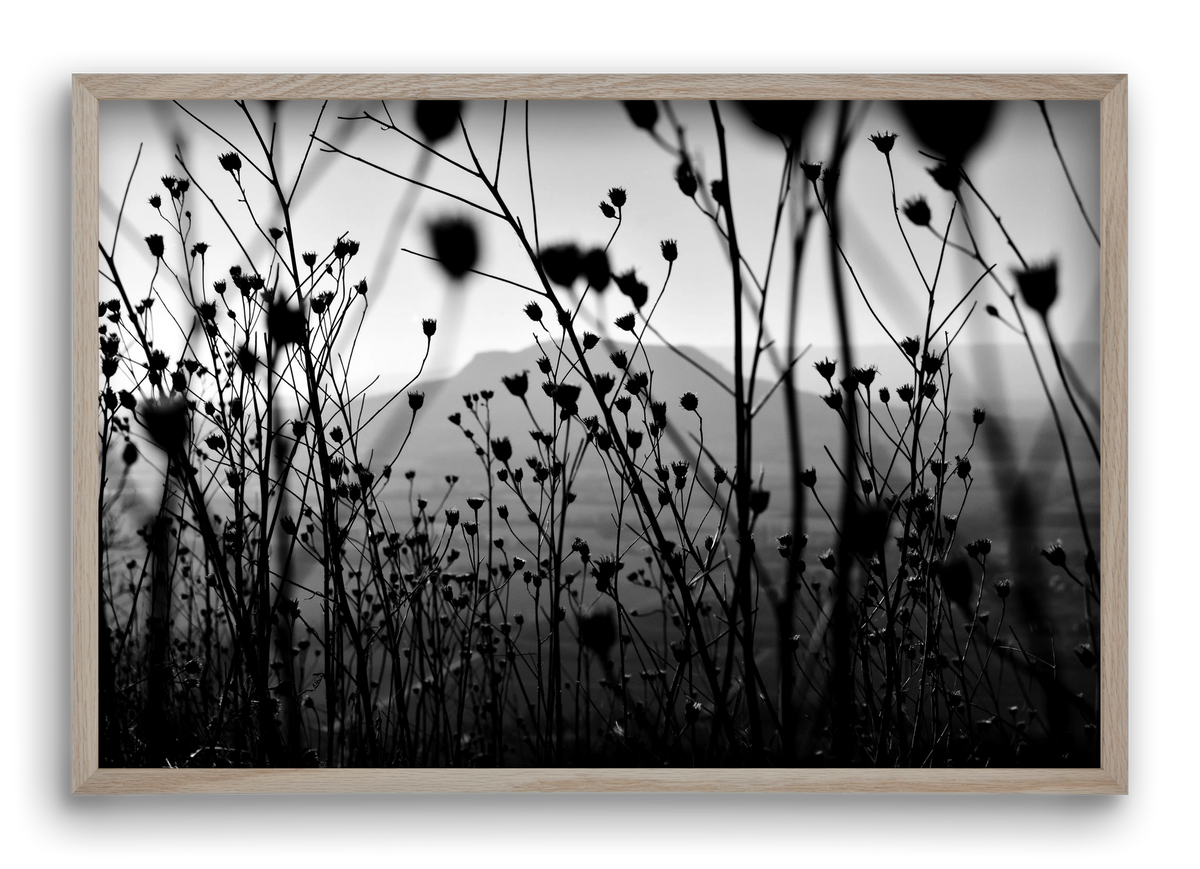 Csobanc, 60x40 cm (60x40 cm), Tölgy keret