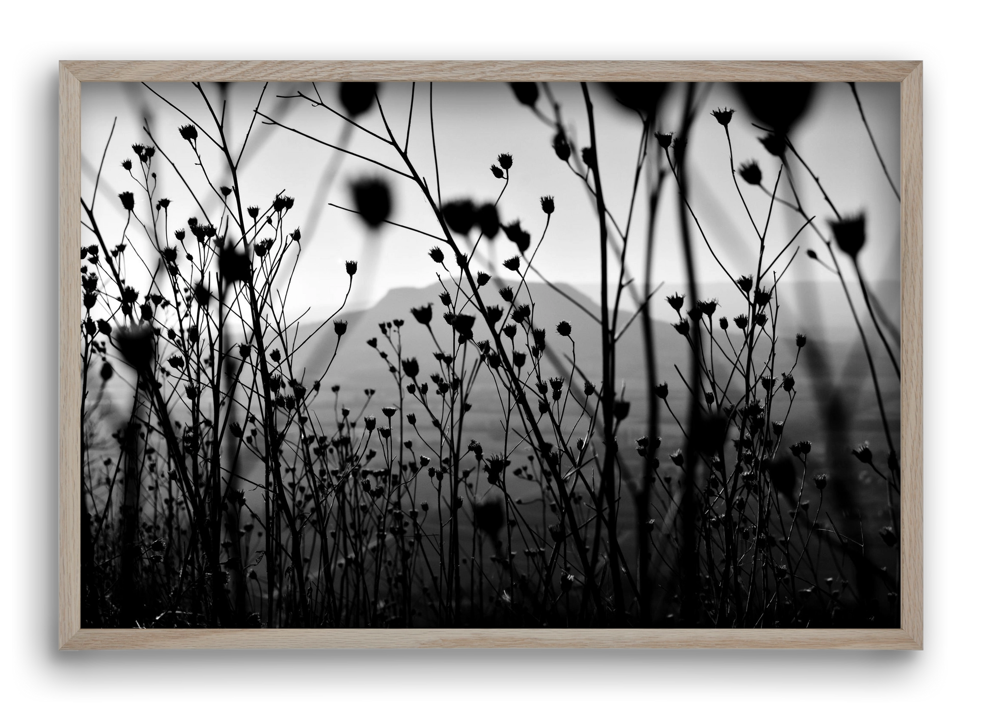 Csobanc, 60x40 cm (60x40 cm), Tölgy keret