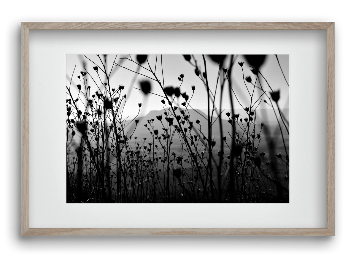 Csobanc, 60x40 cm (45x30 cm), Tölgy keret, paszpartuval