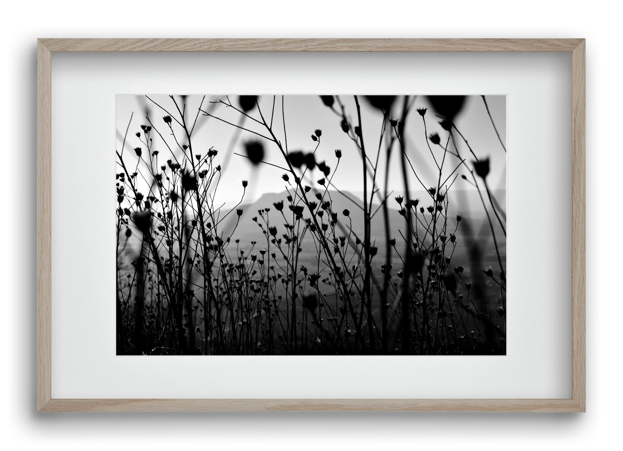 Csobanc, 60x40 cm (45x30 cm), Tölgy keret, paszpartuval