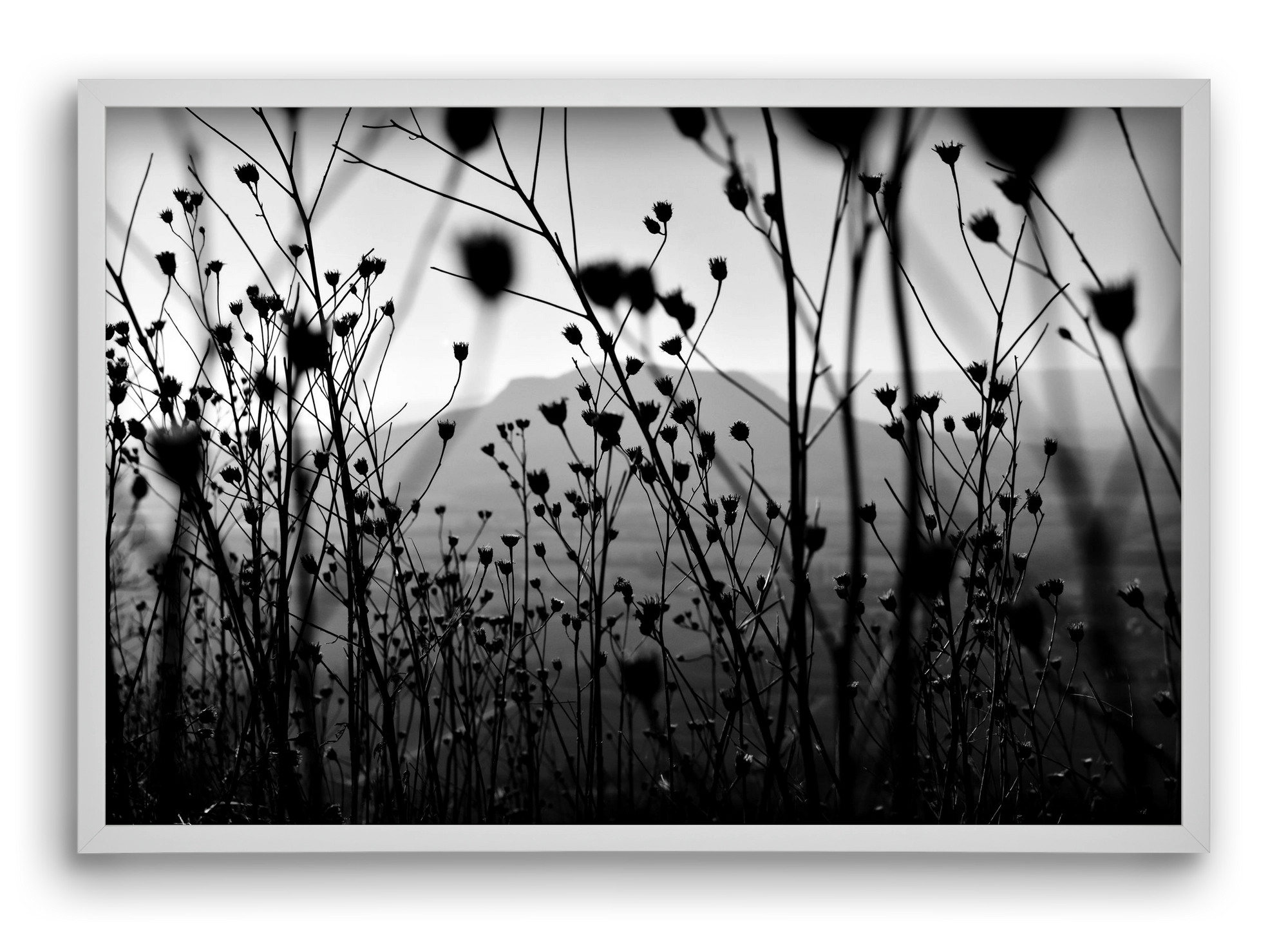 Csobanc, 60x40 cm (60x40 cm), Fehér keret