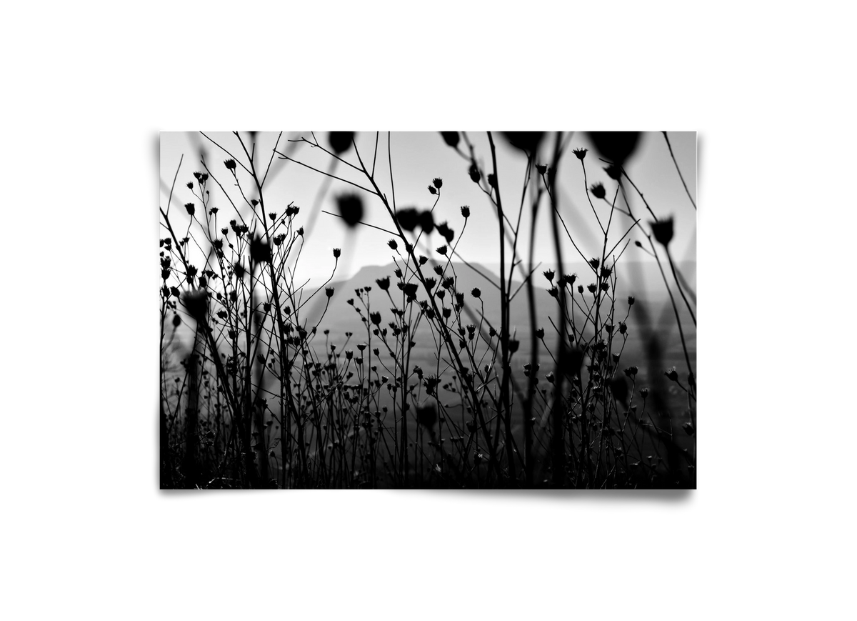 Csobanc, 30x20 cm, Keret nélkül