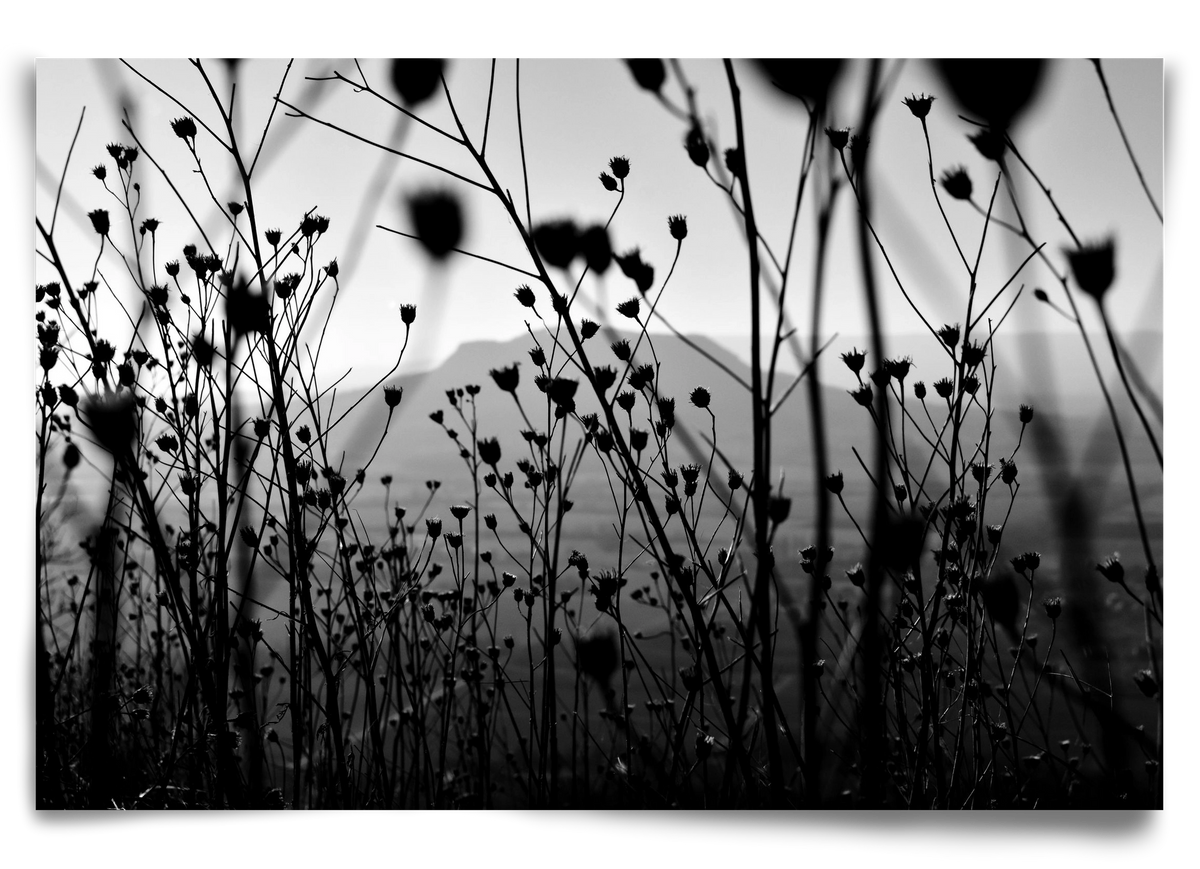 Csobanc, 90x60 cm, Keret nélkül