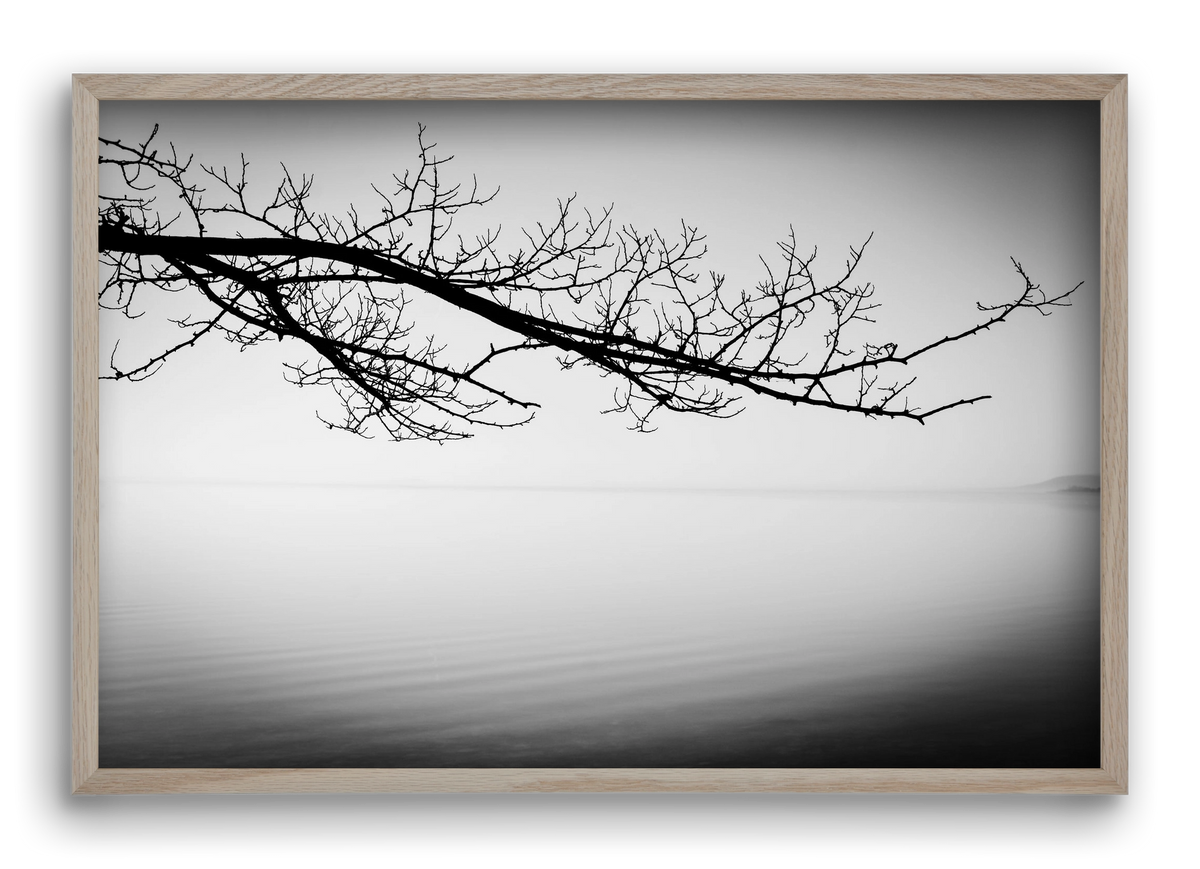 Sajkod, 60x40 cm (60x40 cm), Tölgy keret