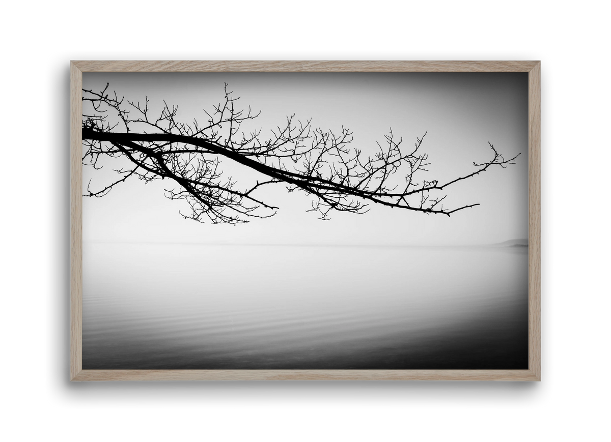 Sajkod, 45x30 cm (45x30 cm), Tölgy keret