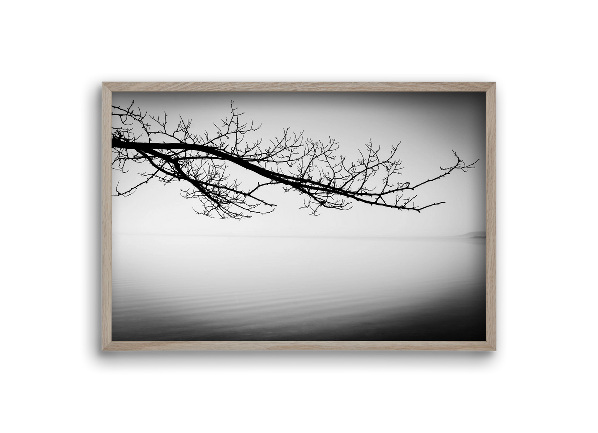 Sajkod, 30x20 cm (30x20 cm), Tölgy keret