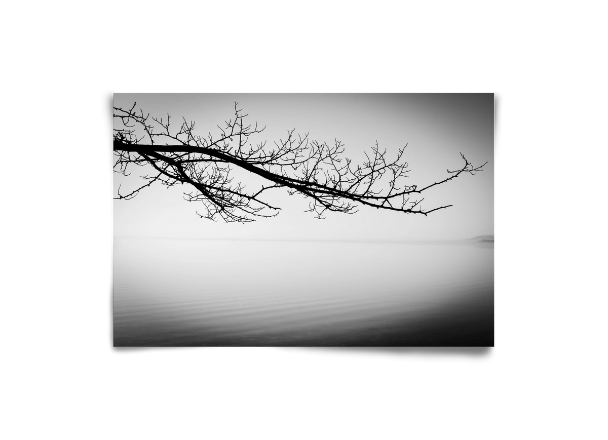 Sajkod, 30x20 cm, Keret nélkül