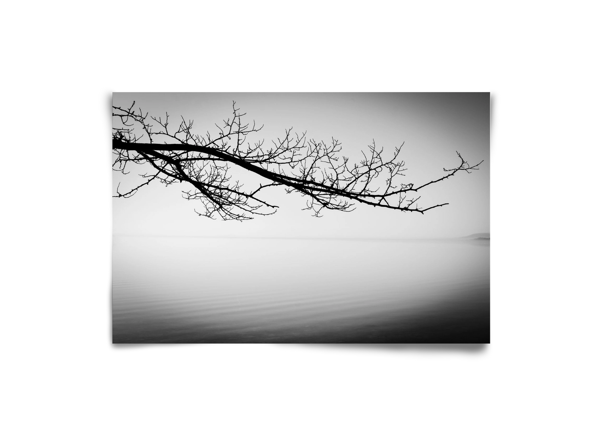 Sajkod, 30x20 cm, Keret nélkül