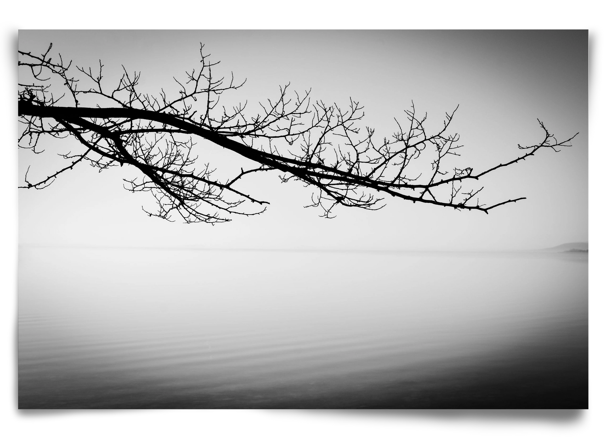 Sajkod, 90x60 cm, Keret nélkül