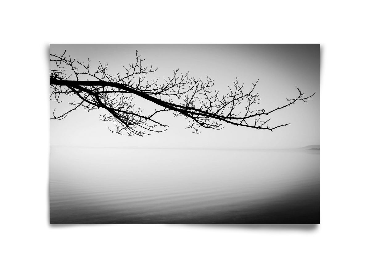 Sajkod, 45x30 cm, Keret nélkül