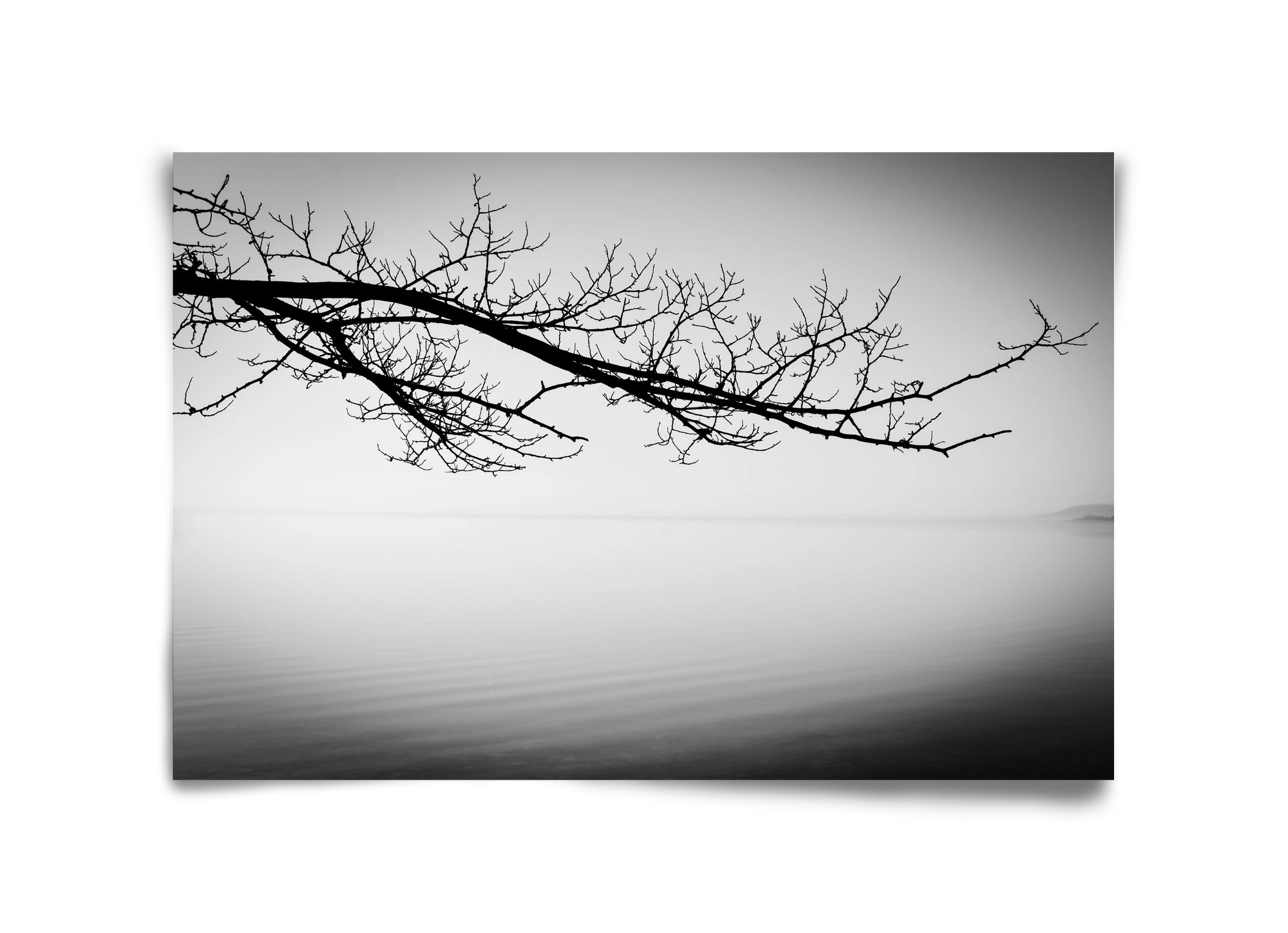 Sajkod, 45x30 cm, Keret nélkül