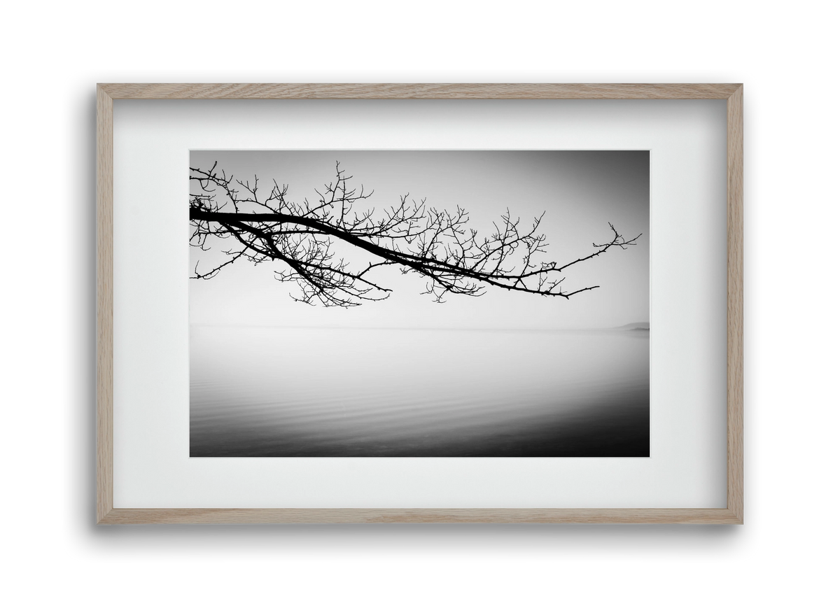 Sajkod, 45x30 cm (30x20 cm), Tölgy keret, paszpartuval