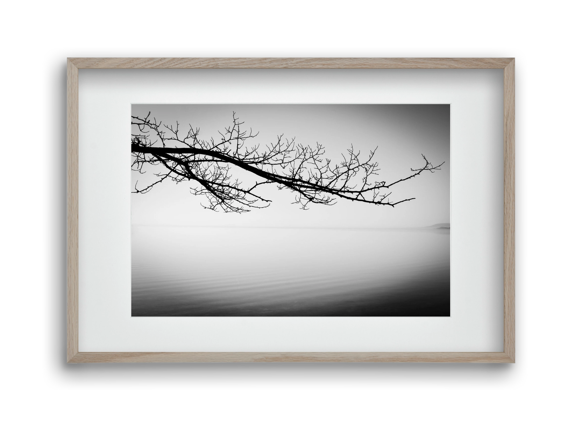 Sajkod, 45x30 cm (30x20 cm), Tölgy keret, paszpartuval