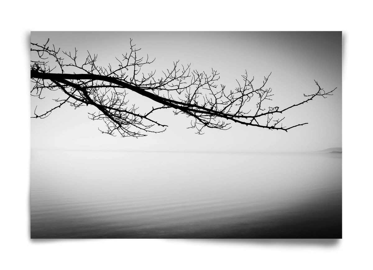 Sajkod, 60x40 cm, Keret nélkül