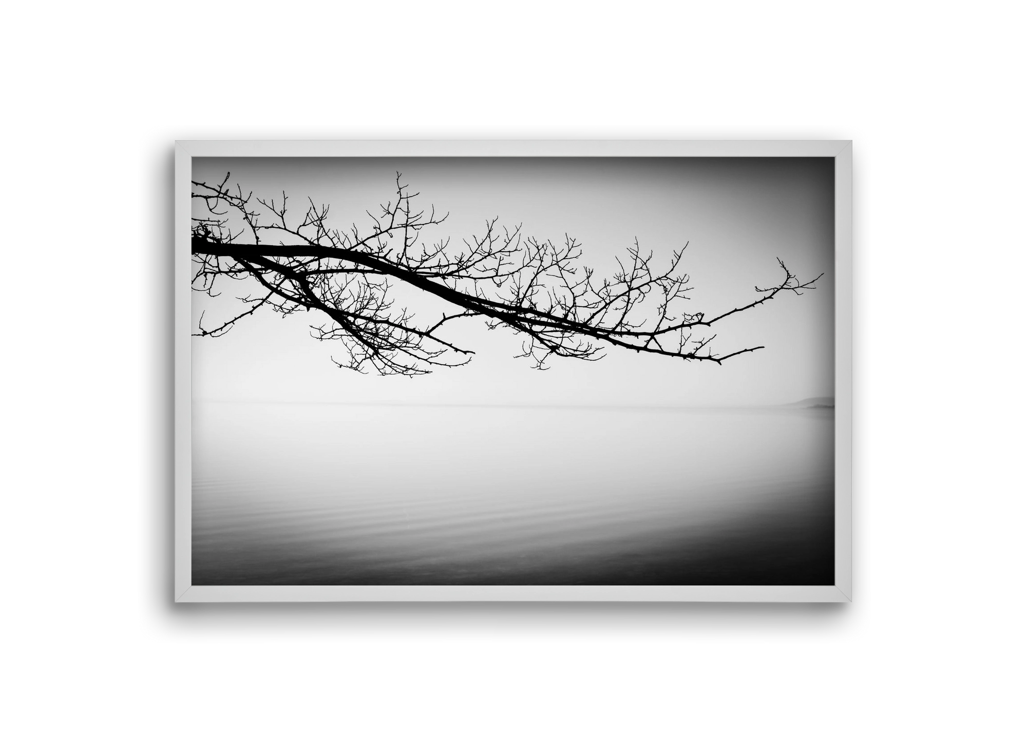 Sajkod, 30x20 cm (30x20 cm), Fehér keret