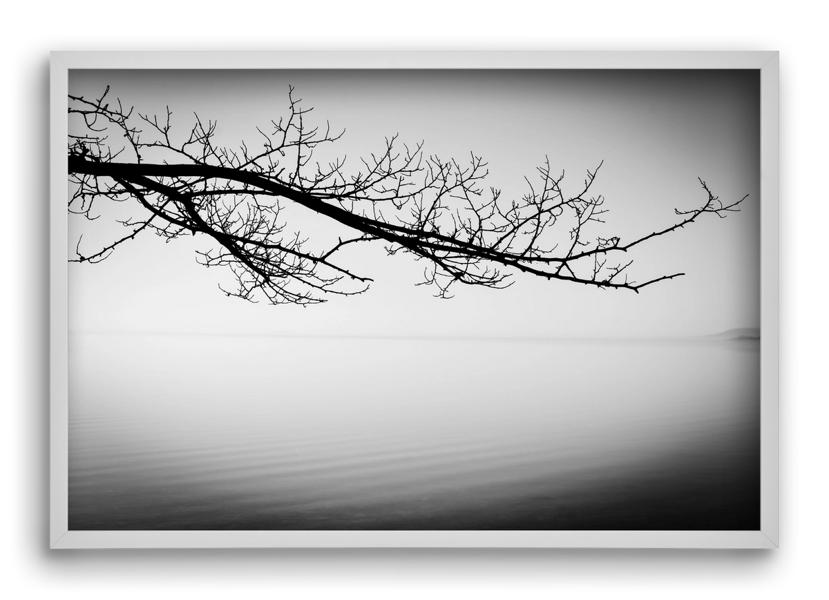 Sajkod, 60x40 cm (60x40 cm), Fehér keret