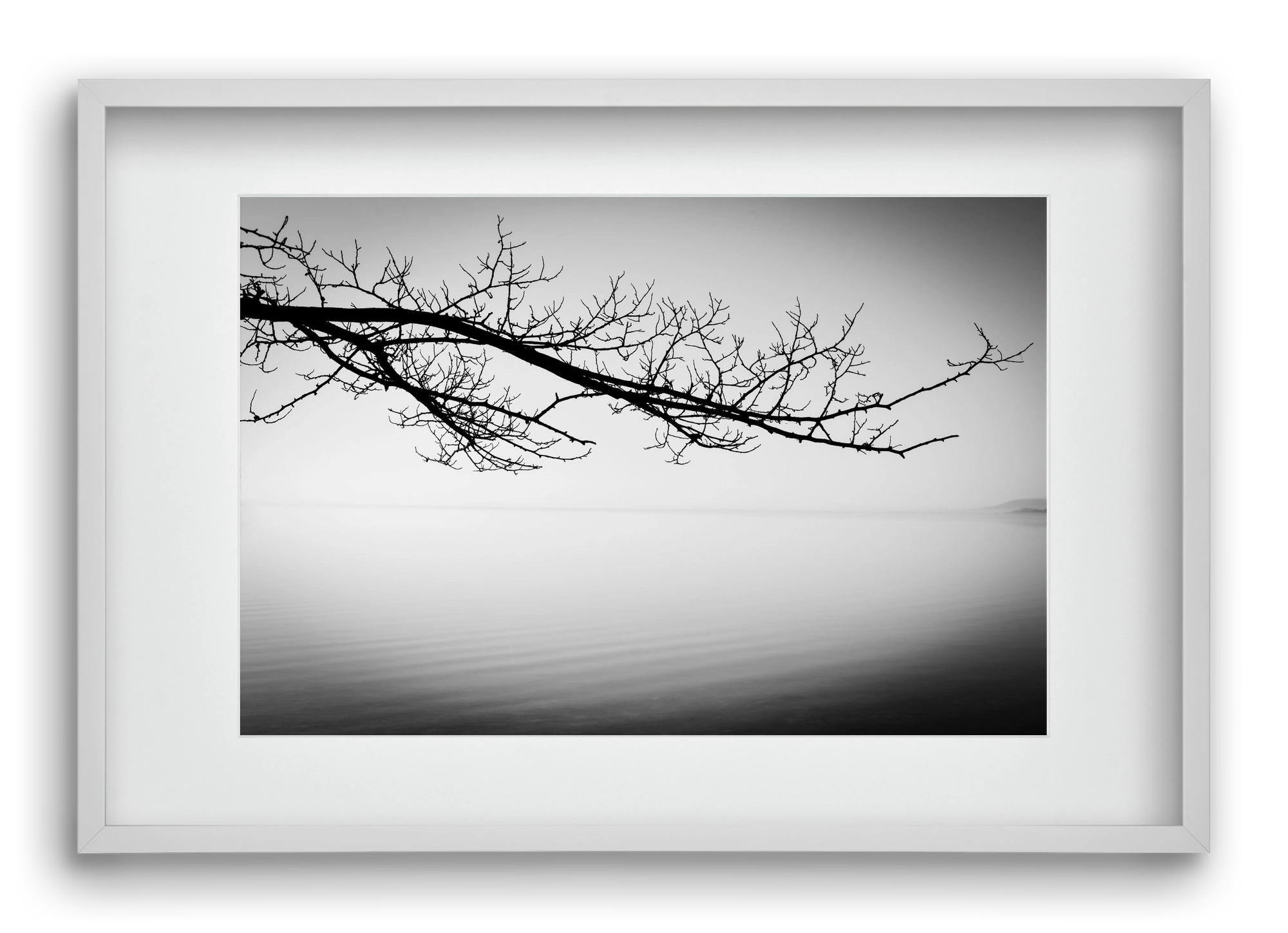 Sajkod, 60x40 cm (45x30 cm), Fehér keret, paszpartuval