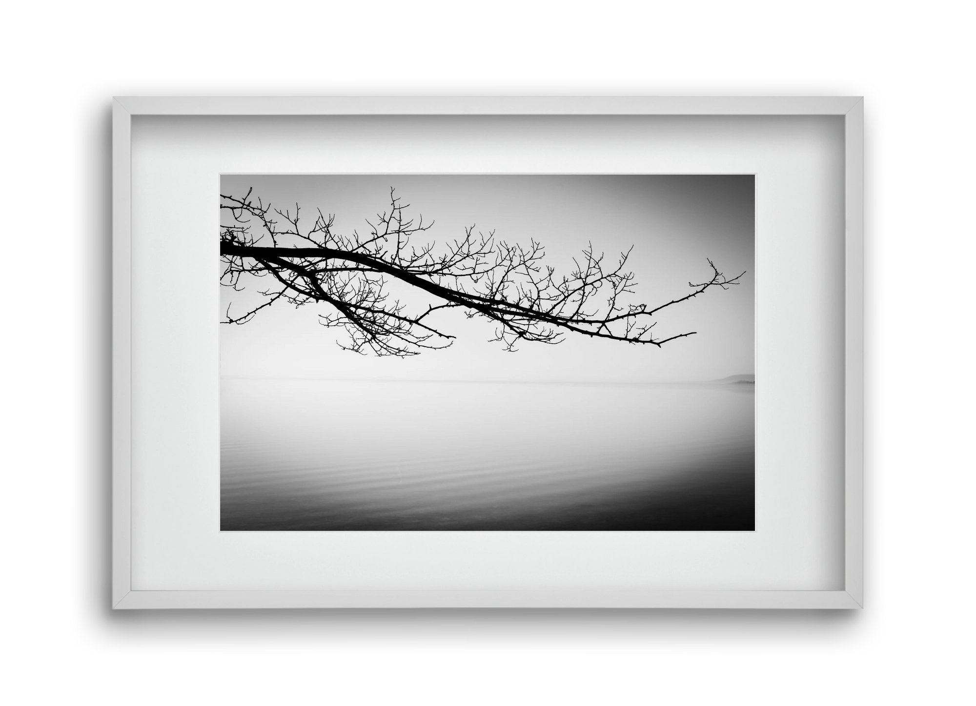 Sajkod, 45x30 cm (30x20 cm), Fehér keret, paszpartuval