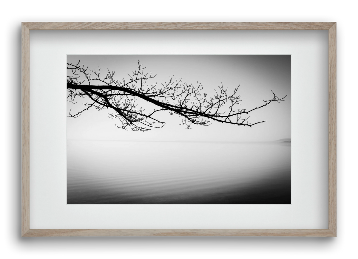 Sajkod, 60x40 cm (45x30 cm), Tölgy keret, paszpartuval