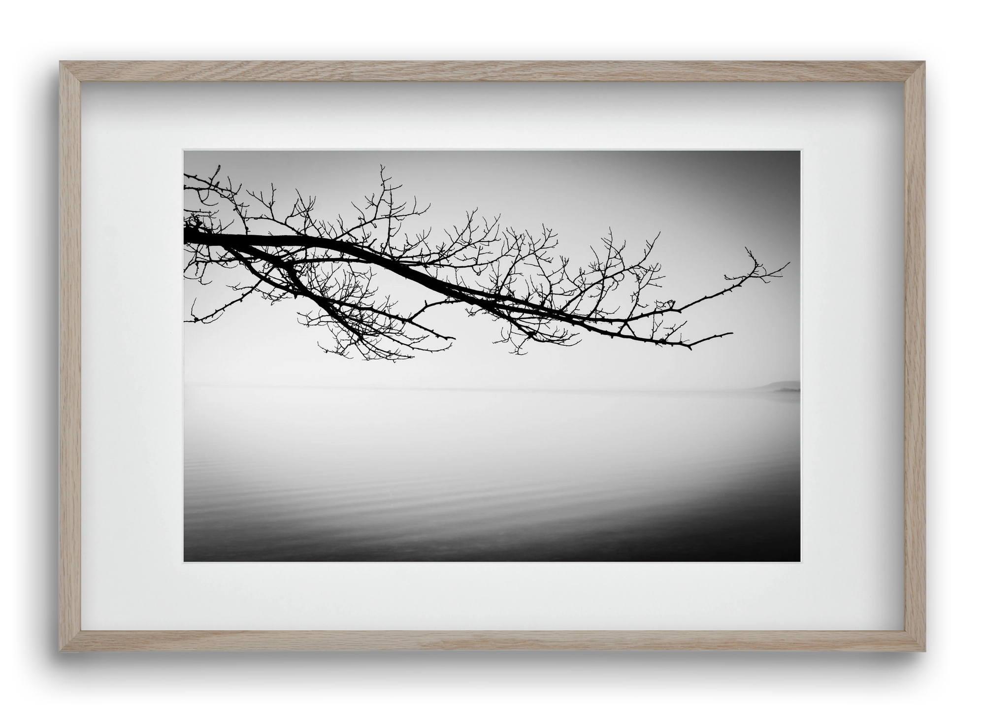 Sajkod, 60x40 cm (45x30 cm), Tölgy keret, paszpartuval