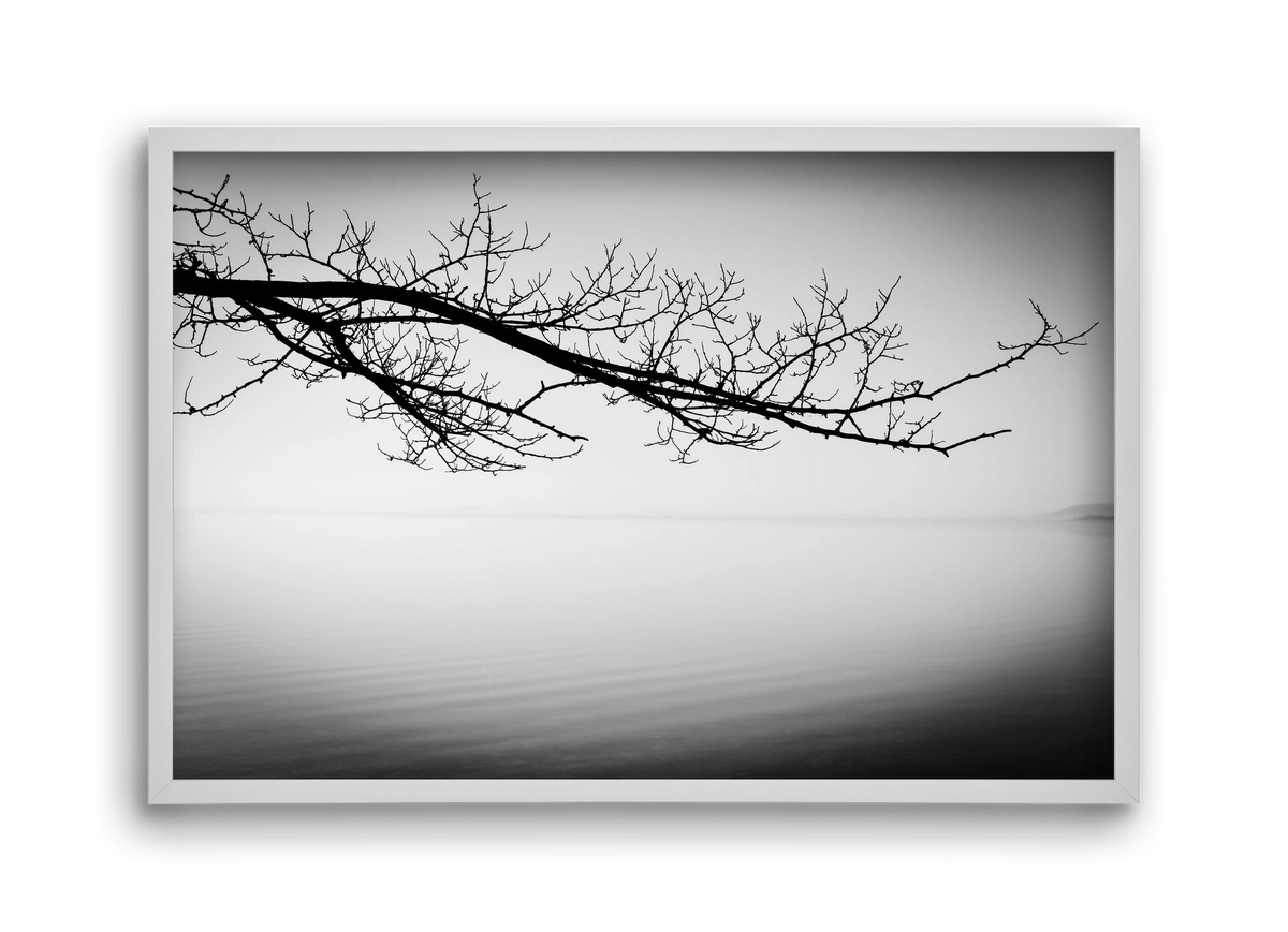 Sajkod, 45x30 cm (45x30 cm), Fehér keret