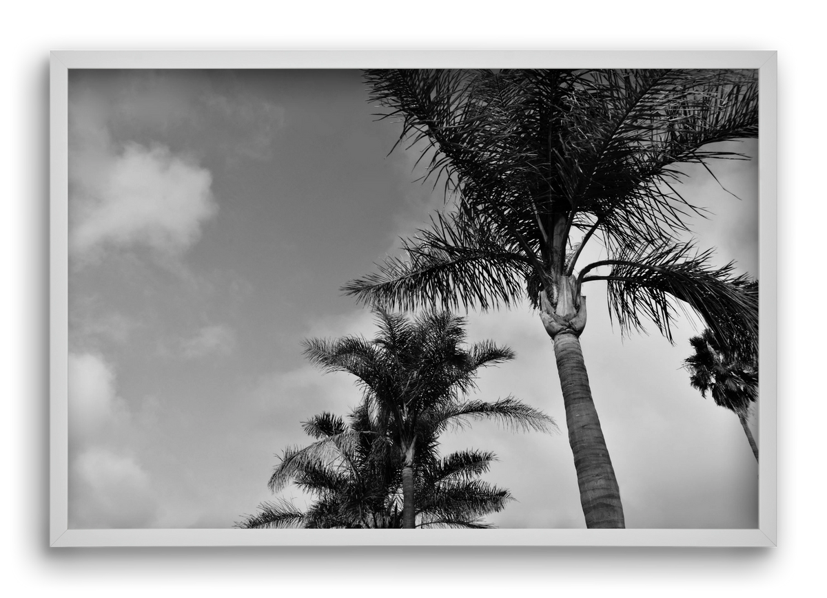 portfolio, 60x40 cm (60x40 cm), Fehér keret