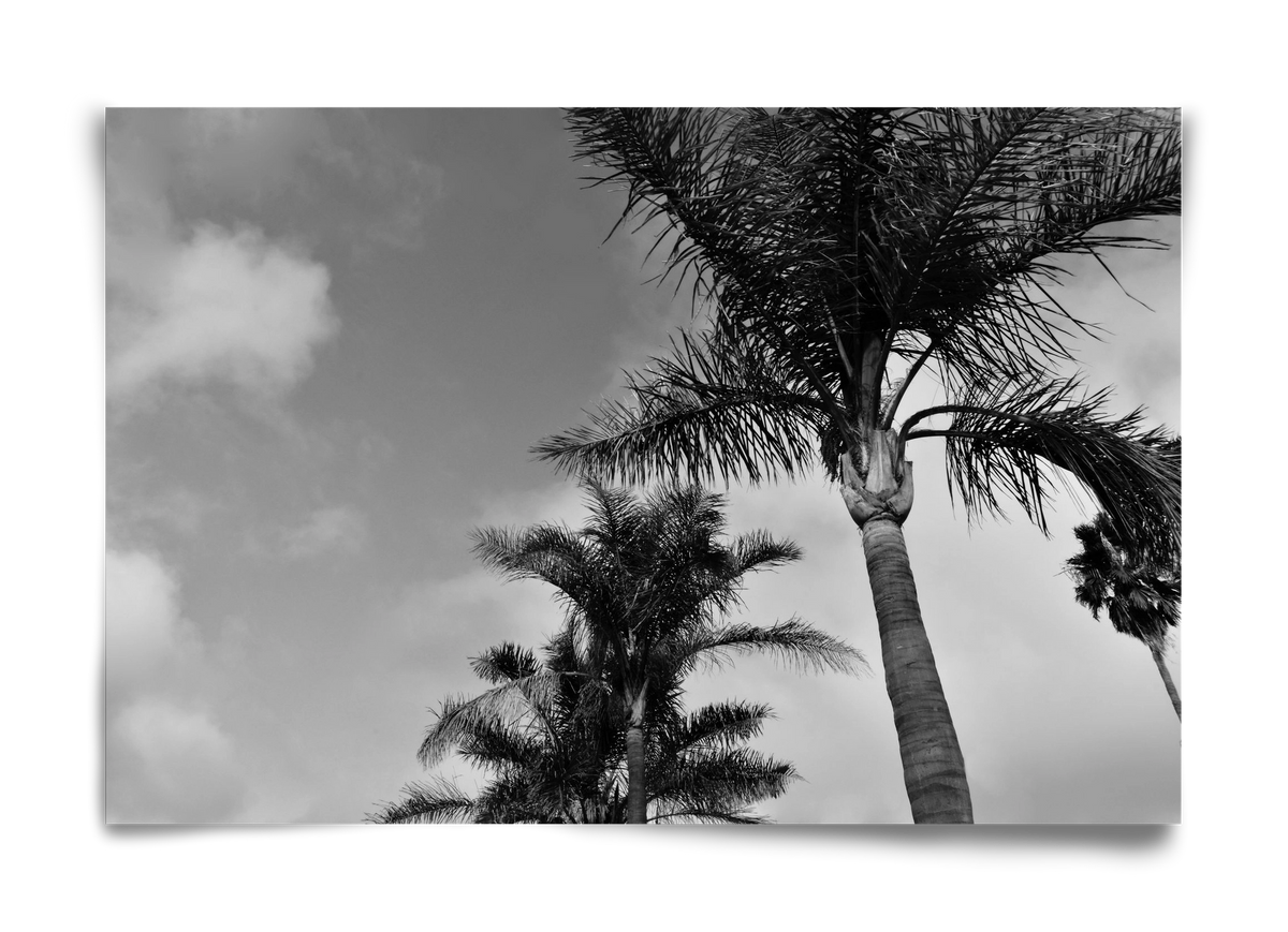 portfolio, 60x40 cm, Keret nélkül