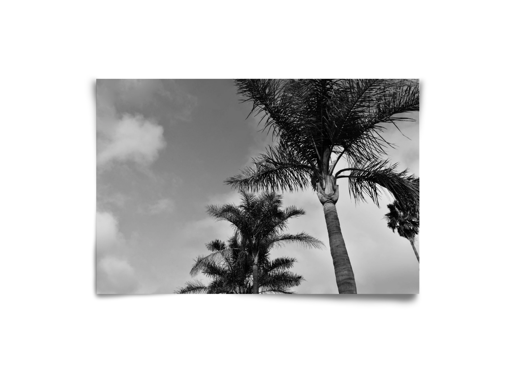 portfolio, 30x20 cm, Keret nélkül