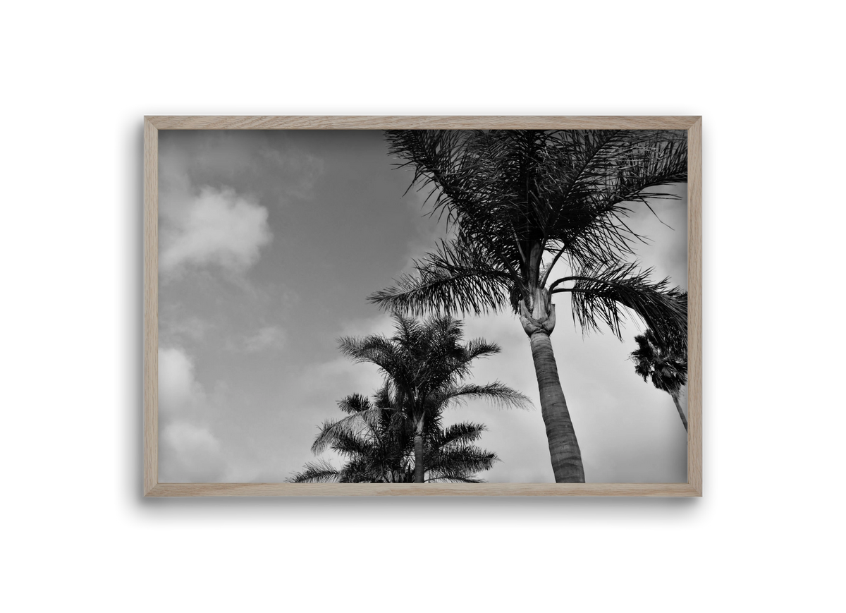 portfolio, 30x20 cm (30x20 cm), Tölgy keret