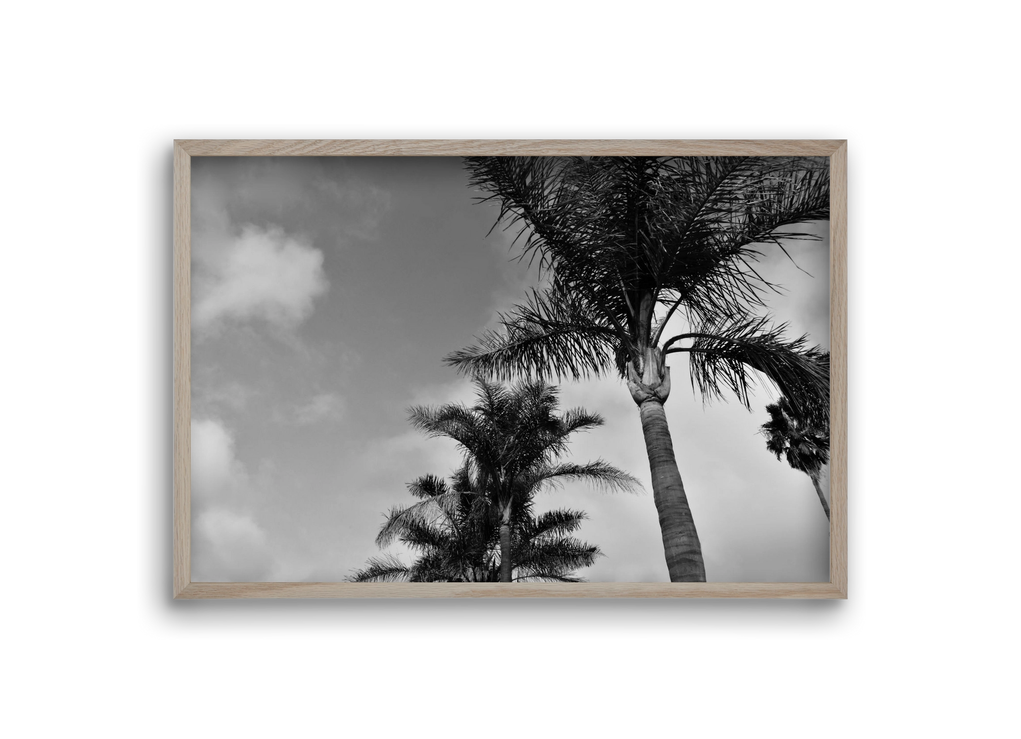 portfolio, 30x20 cm (30x20 cm), Tölgy keret