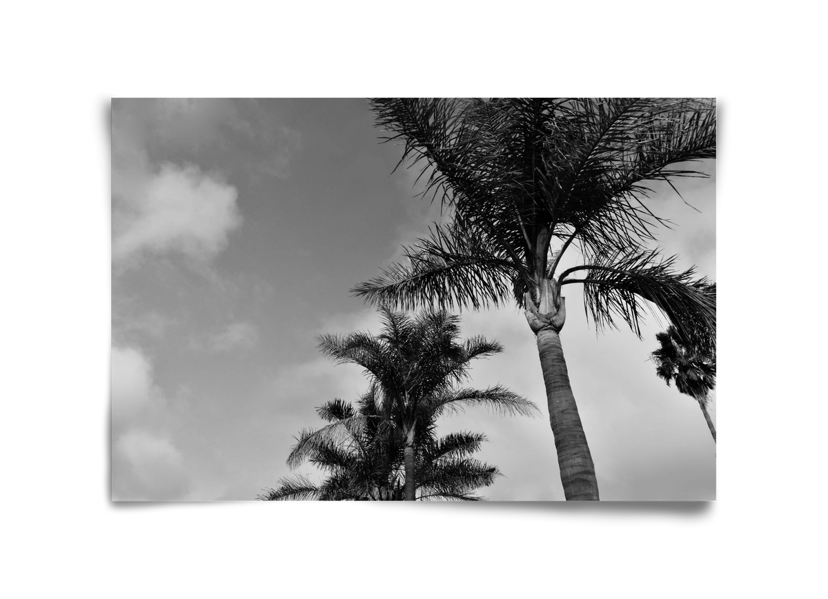 portfolio, 45x30 cm, Keret nélkül