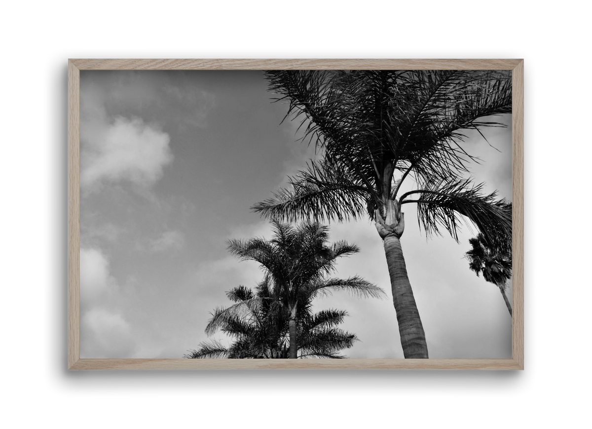 portfolio, 45x30 cm (45x30 cm), Tölgy keret