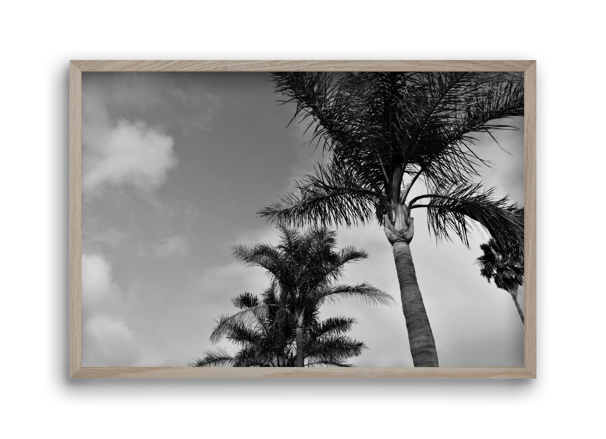 portfolio, 45x30 cm (45x30 cm), Tölgy keret