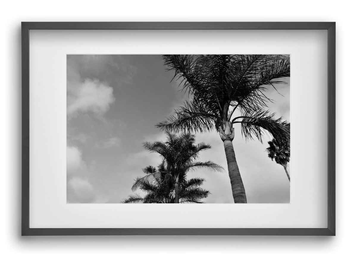 portfolio, 60x40 cm (45x30 cm), Fekete keret, paszpartuval