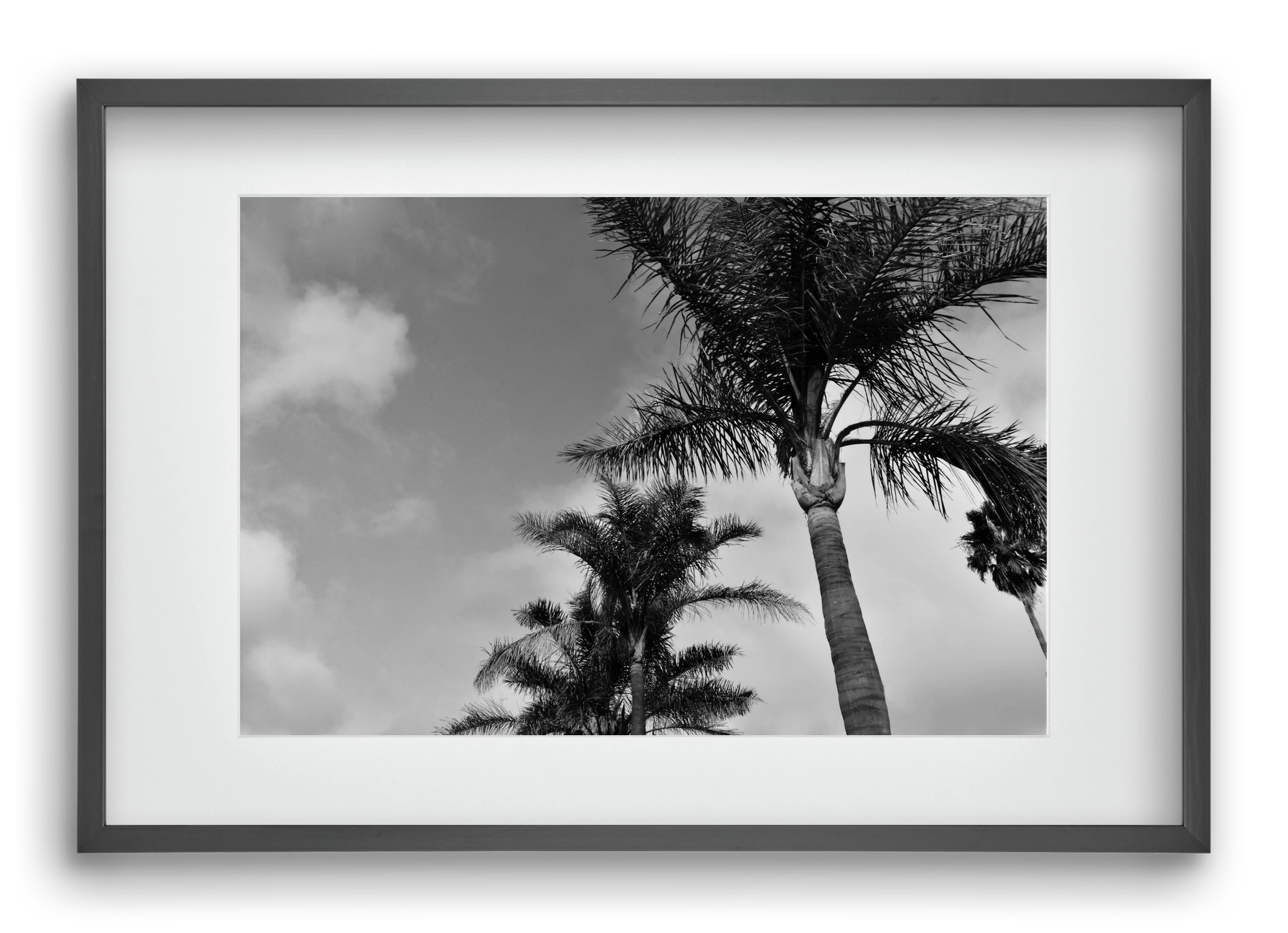 portfolio, 60x40 cm (45x30 cm), Fekete keret, paszpartuval