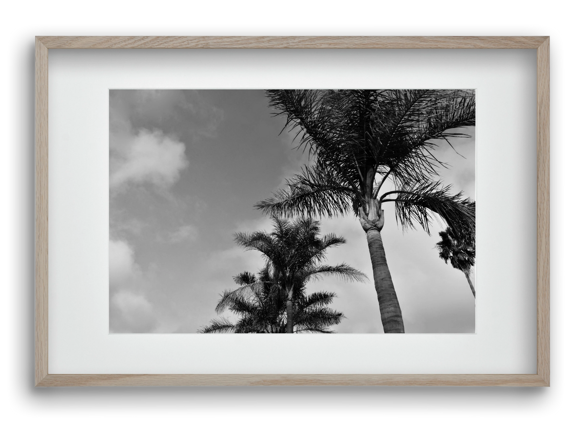 portfolio, 60x40 cm (45x30 cm), Tölgy keret, paszpartuval