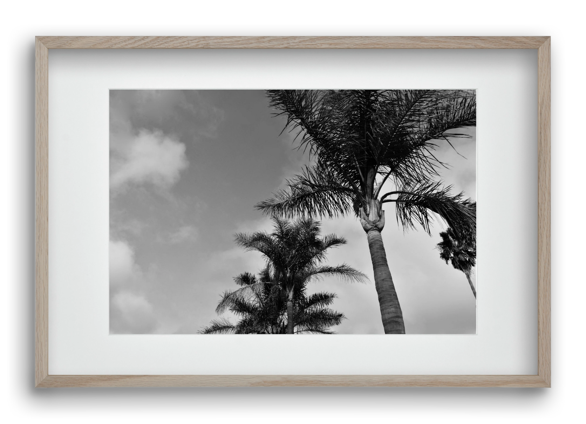 portfolio, 60x40 cm (45x30 cm), Tölgy keret, paszpartuval