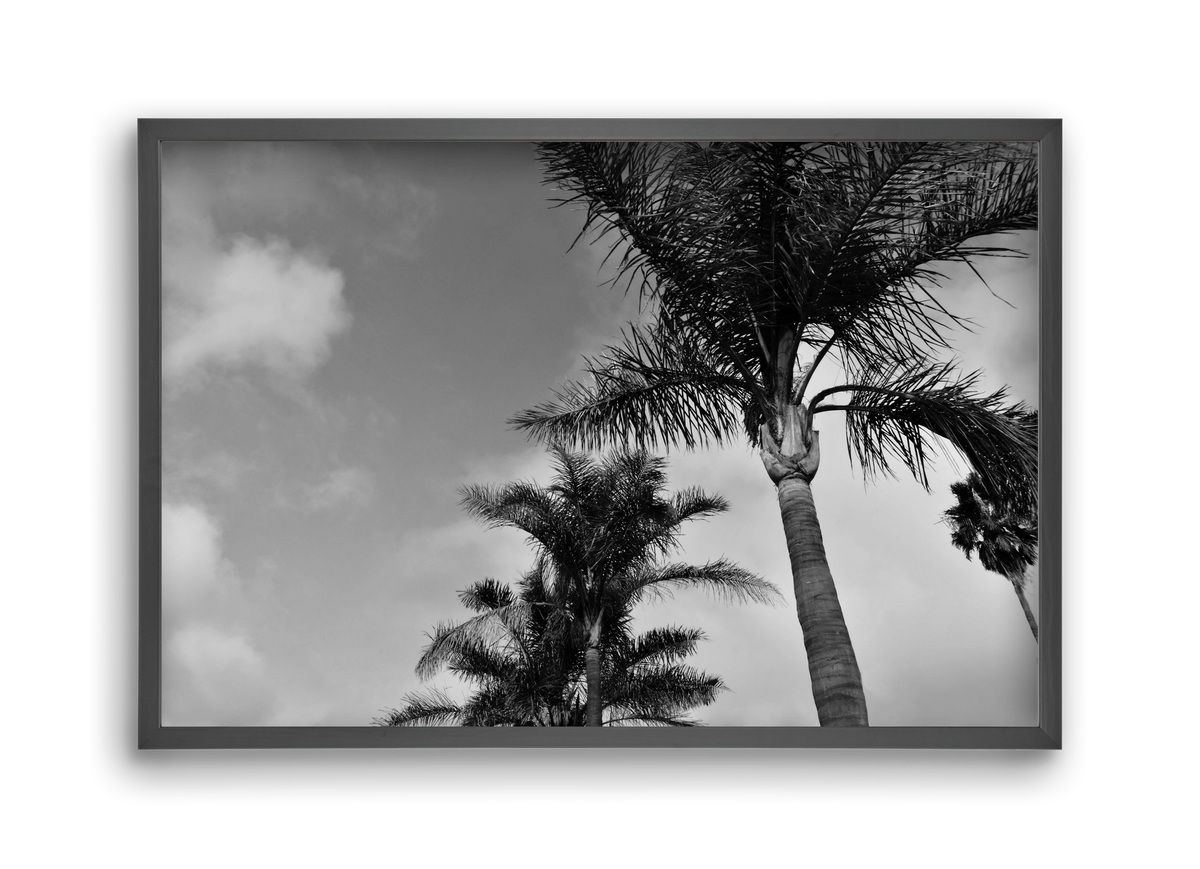 portfolio, 45x30 cm (45x30 cm), Fekete keret