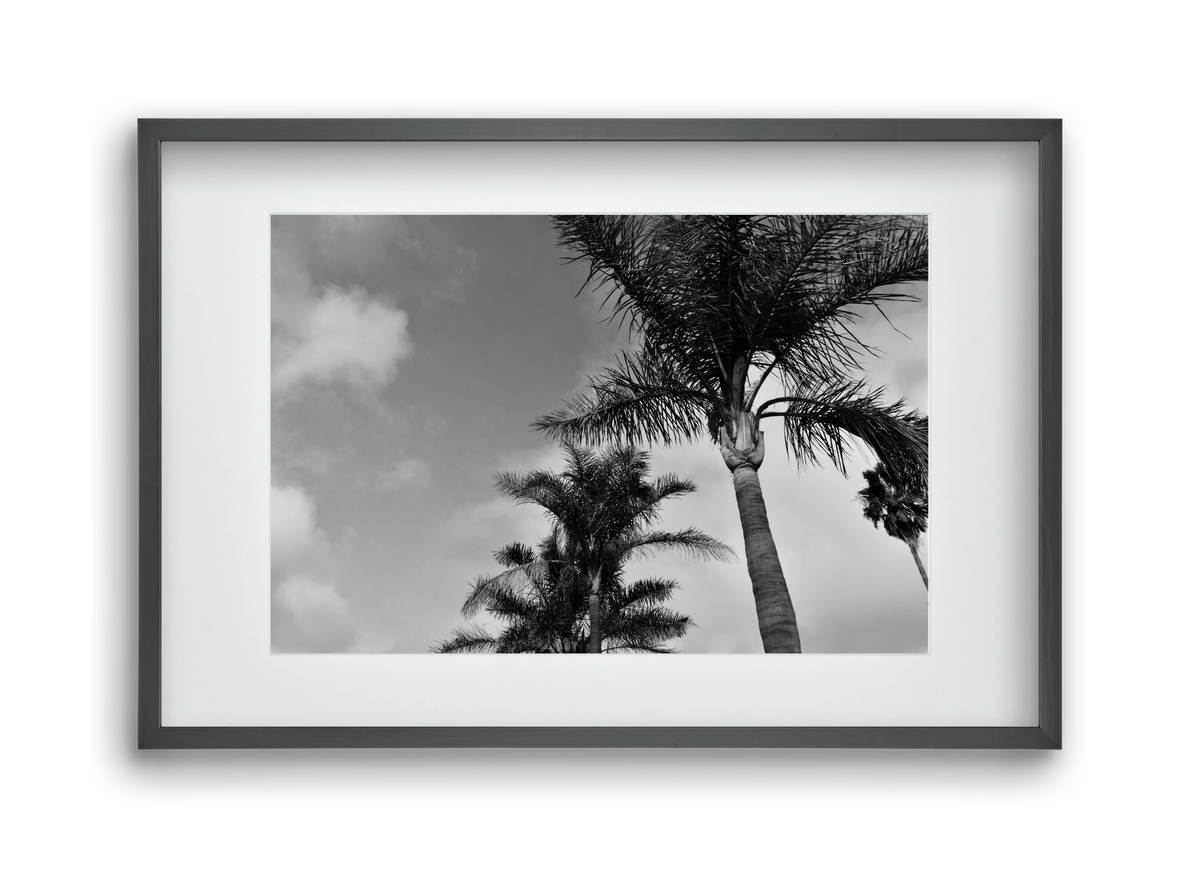 portfolio, 45x30 cm (30x20 cm), Fekete keret, paszpartuval